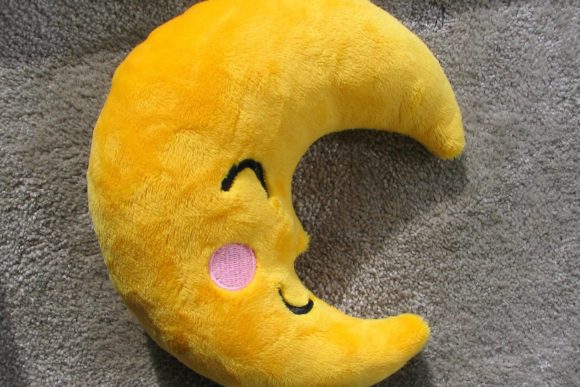 Moon in the Hoop: A Designer's Review for Seasonal Success